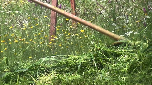 Close up shot of a gasoline powered trimmer while it is in use for trimming the grasses