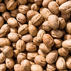Walnut background. walnut as a texture