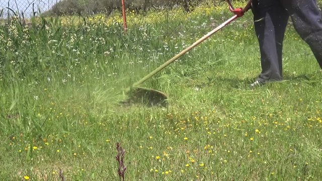 Close up shot of a gasoline powered trimmer while it is in use for trimming the grasses