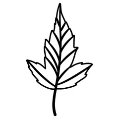 Leaf icon. Autumn season floral garden and nature theme. Vector illustration