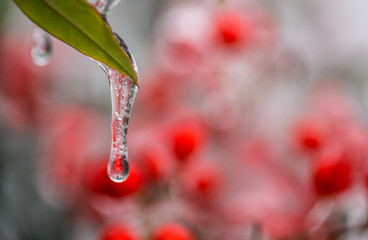 Frozen Water Drop - 125953752