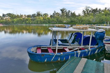 Fototapeta na wymiar Early Morning in Burnham Lake, Baguio City, Philippines
