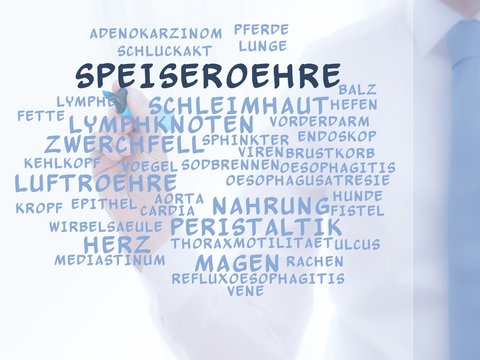 Speiser&ouml;hre