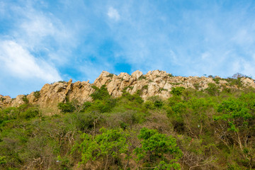 Fototapeta na wymiar cliff .Cliff in daylight