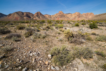 Rocky Landscape of Red Rock Canyons National Park in Nevada, USA