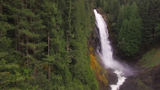 Aerial Composition with Forest Wall of Trees and Waterfall in Background