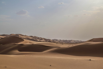 Liwa Desert