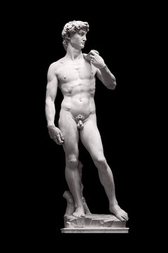 Fototapeta David Statue by Michelangelo in Galleria dell'Accademia (uffizi museum) in Florence. Italy.