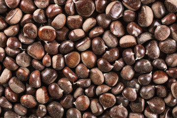 Chestnut background
