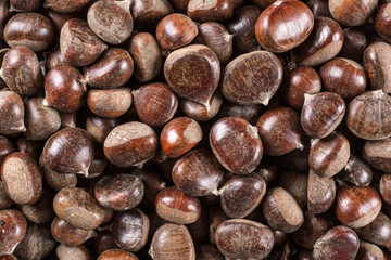 Chestnut background