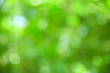 Natural green background