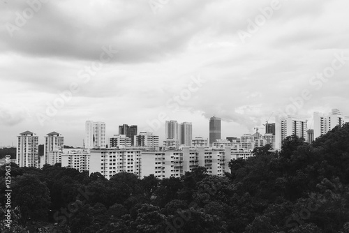 black And White Landscrape Building In The Forest After Rain Stock black-and-white-landscrape-building-in-the-forest-after-rain-stock