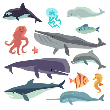 Sea marine fish and animals flat vector set