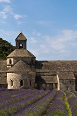 Fototapeta premium Senanque Abbey i lawendowe pole, Prowansja, Francja