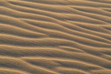 Sand patterns in dunes of Maspalomas Gran Canaria