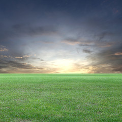 Green Field and sunset sky view.