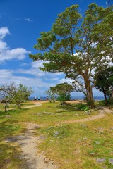 Nakijin Gusuku, Okinawa, Japan