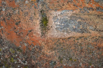 old spotty stained concrete wall texture background. color pattern. orange, red, brown