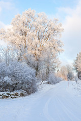 Fototapeta premium Winter road in the countryside with snow