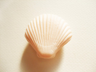 ホタテ貝型の石鹸