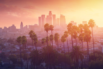 Fototapeta na wymiar Los Angeles hot sunset view with palm tree and downtown in background. California, USA