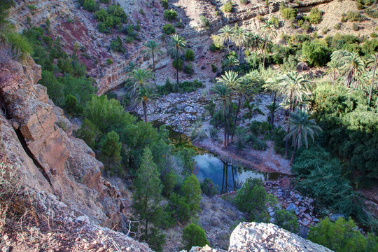 Oasis dans la vall&eacute;e du paradis - Maroc