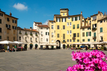 Fototapeta na wymiar Lucca piazza anfiteatro