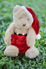 Teddy bear sit on the lawn.