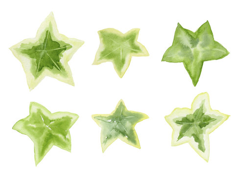 3 953 Best アイビー Images Stock Photos Vectors Adobe Stock 3 953 Best アイビー Images Stock Photos Vectors Adobe Stock