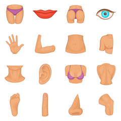 Fototapeta na wymiar Body parts icons set. Cartoon illustration of 16 body parts vector icons for web