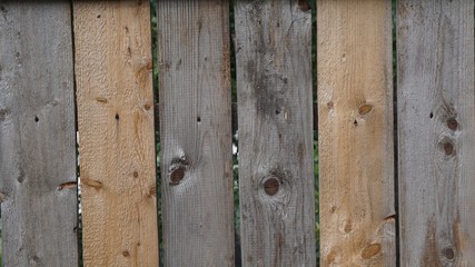 tree structure, wooden fence, wooden background