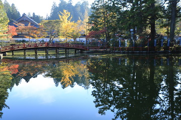 Fototapeta premium 高野山の紅葉