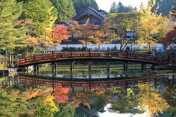 Fototapeta na wymiar 高野山の秋景色