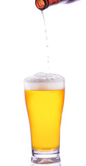 beer is pouring into glass on white background