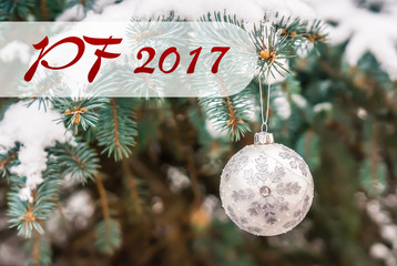 PF 2017 - Silver Christmas ball on a snow-covered branch