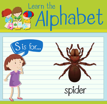 Flashcard alphabet S is for spider