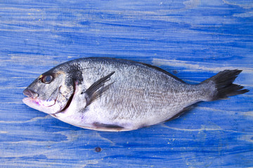 Fish, golden on blue wooden background