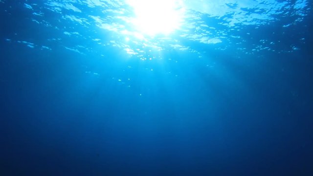 Underwater blue background in sea with sun in ocean
