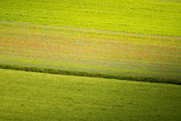 Castelluccio di Norcia