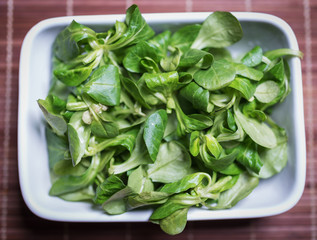 Im Bild: Frischer Feldsalat in einer weißen Schale .