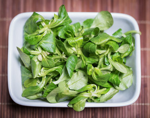 Im Bild: Frischer Feldsalat in einer weißen Schale .