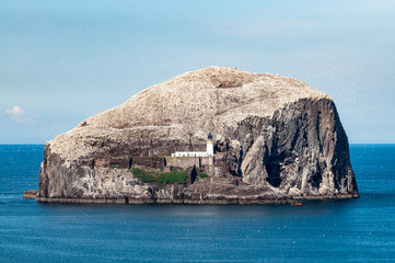 Bass Rock in the Firth of Forth, Scotland
