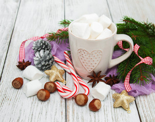 cup of cocoa with marshmallows