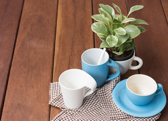 Blue and white coffee cups on wooden table with green tree pot d