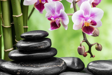 Obraz na płótnie Canvas spa still life with zen basalt stones ,orchid and bamboo
