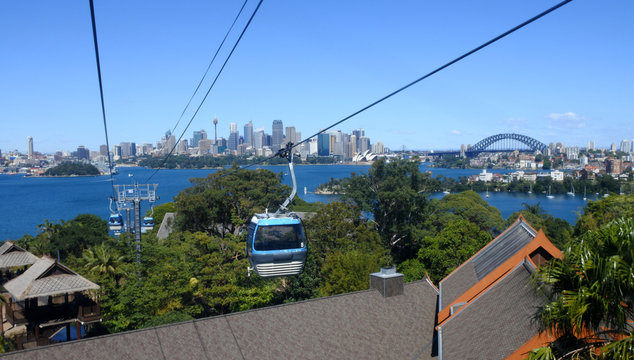 Sydney skyline from a cable car in Taronga Zoo Sydney New South