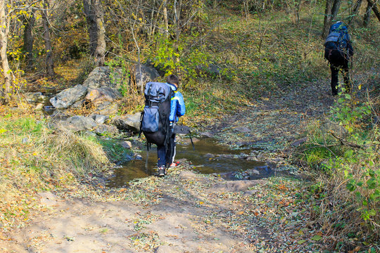 Hiking in the autumn forest