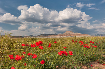Cayirhan, Ankara, Turkey