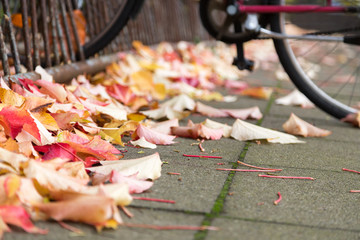 Fahrradständer im Herbst