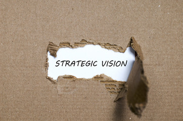 The word strategic vision appearing behind torn paper